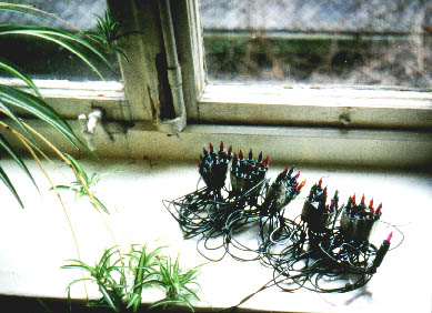 pornolichterkette_2.jpg (38586 Byte)